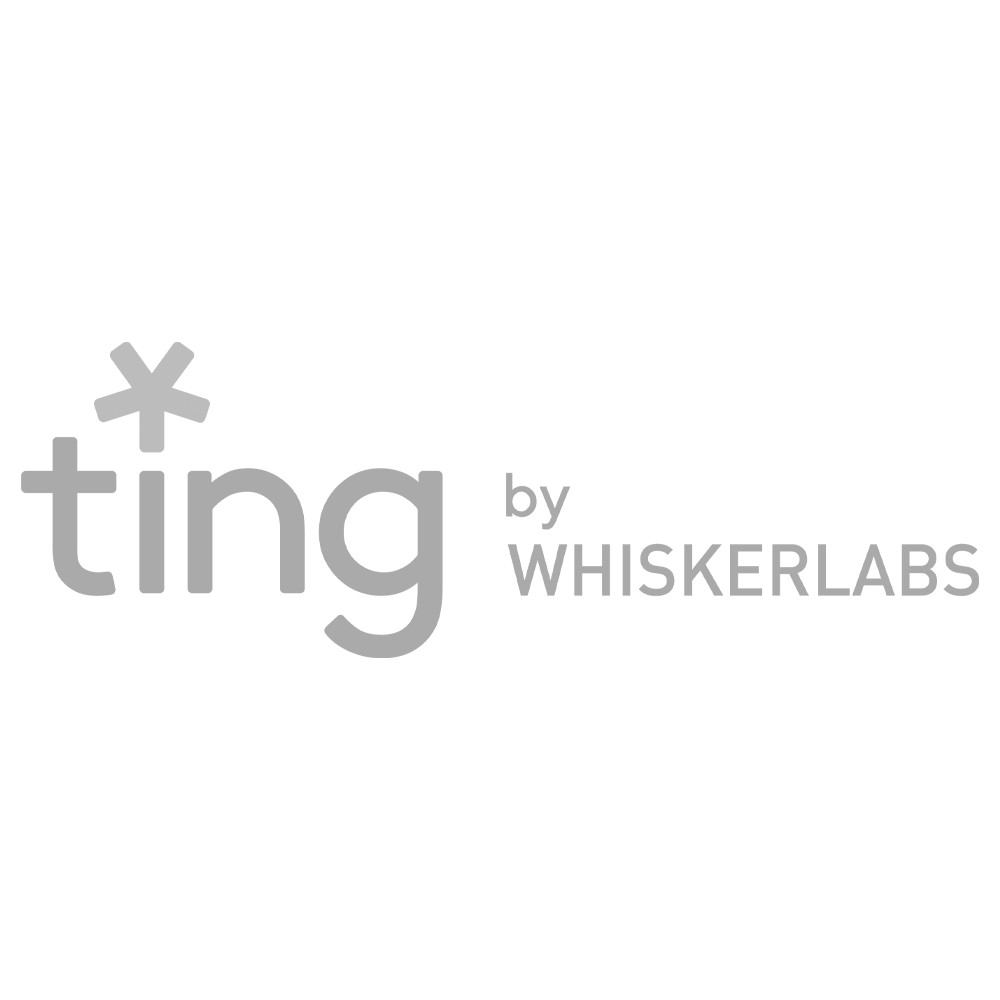 Logo_TingbyWisker_GS2