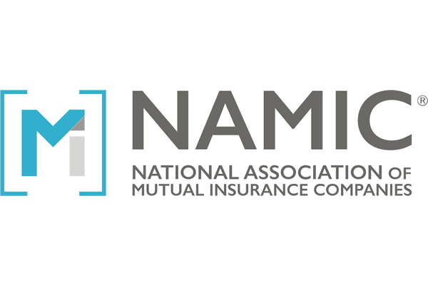 NAMIC logo